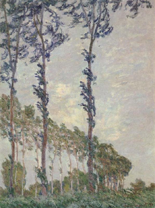 Claude Monet WInd Effect,Sequence of Poplars Spain oil painting art